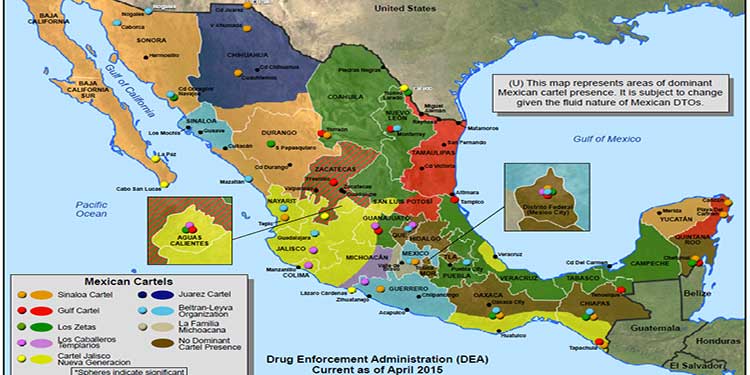 Emerging Drug Cartels and Powerbases - The DENISE SIMON EXPERIENCE